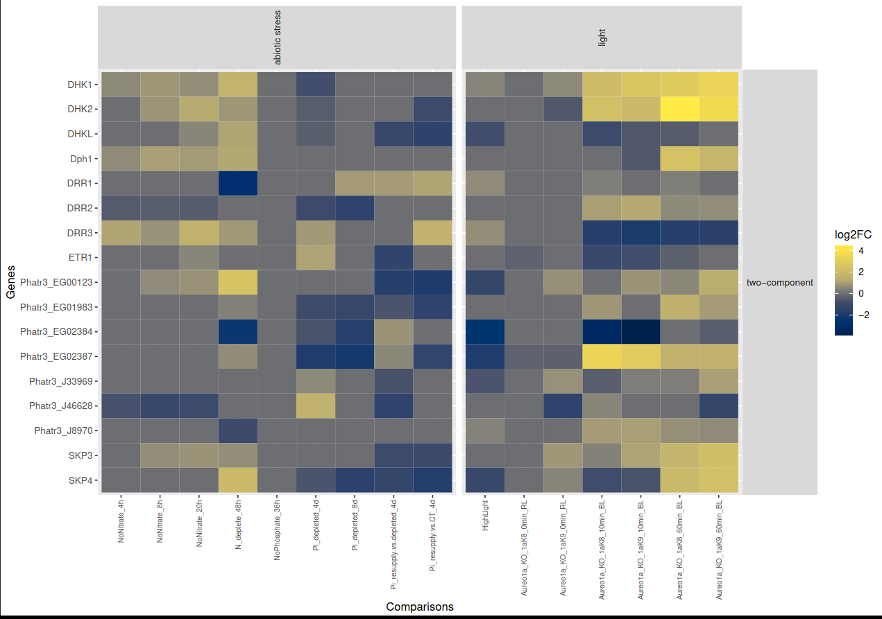 heatmap_example